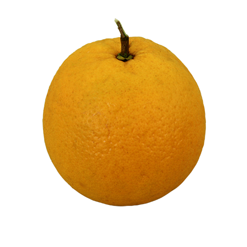 naranja valencia
