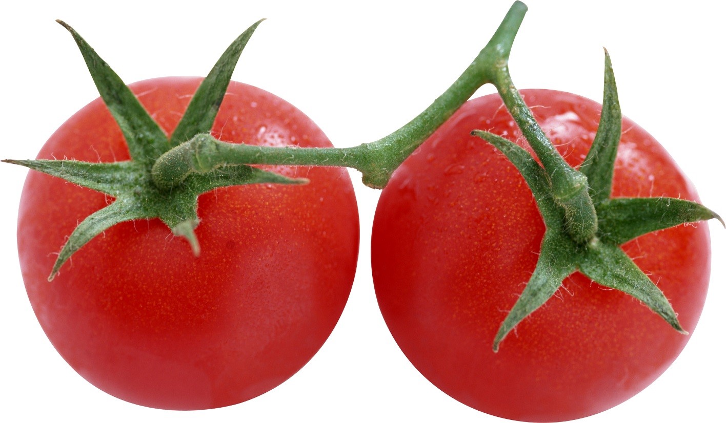 tomate rip